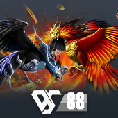 Sabong - 6624 hot